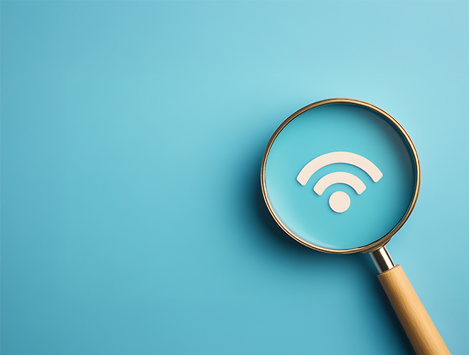 Internet Services Facts